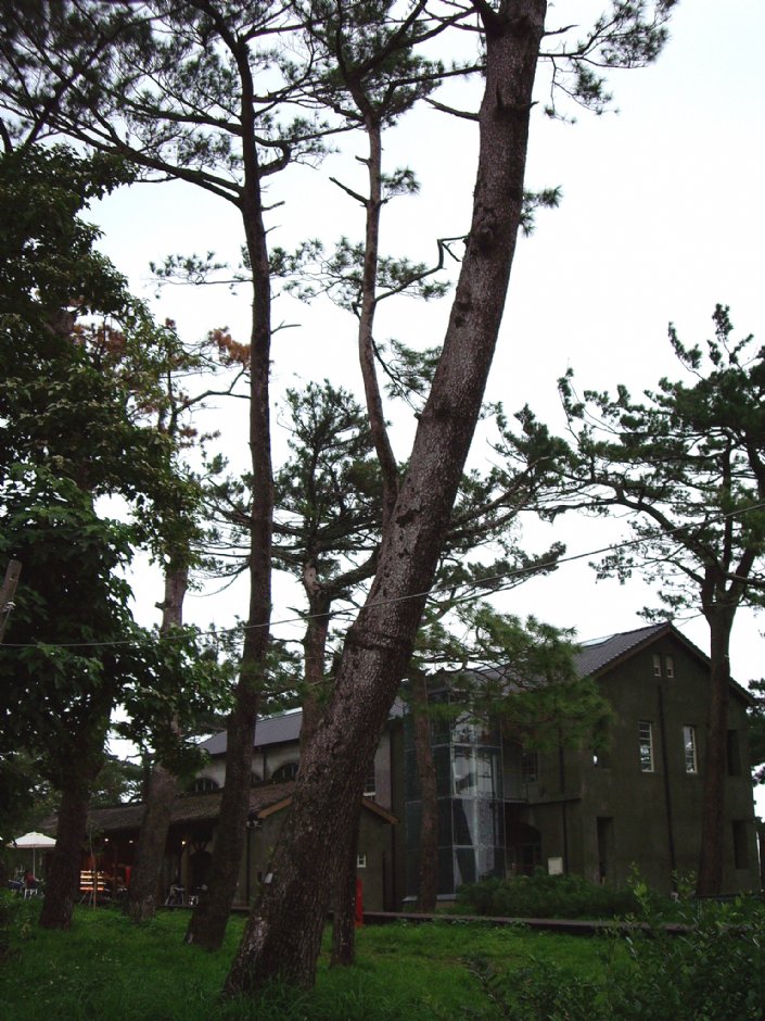 松園別館 攝影：Eva隨手拍