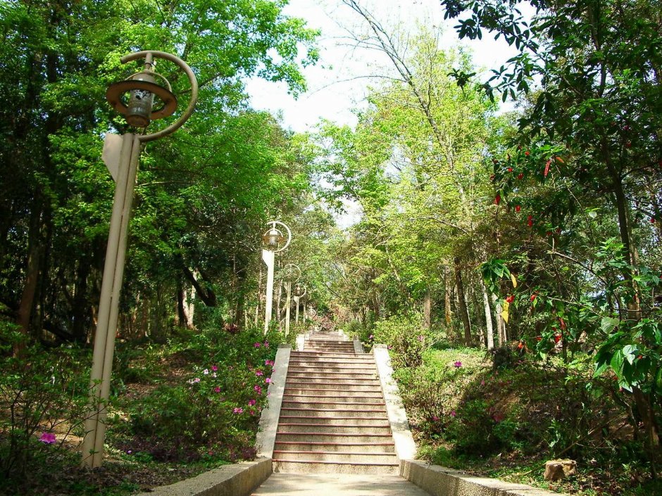 虎子山步道 攝影：老山羊部落格
