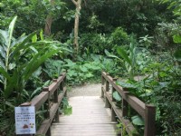 富陽自然生態公園<br/> 攝影：Eva隨手拍