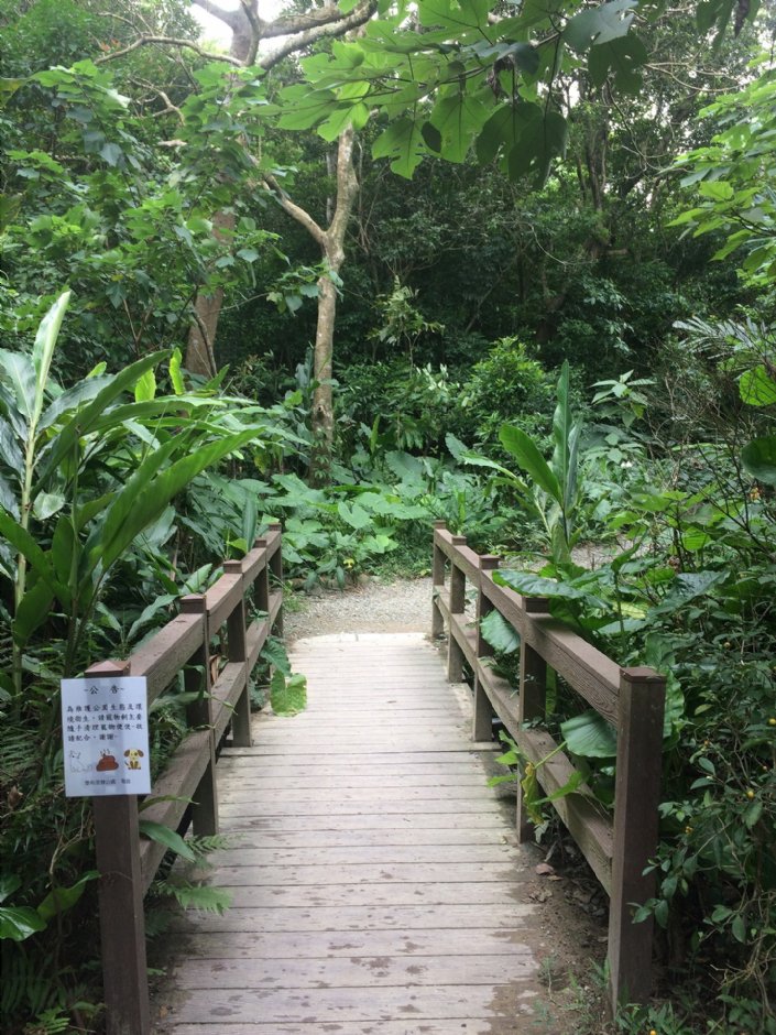 富陽自然生態公園 攝影：Eva隨手拍