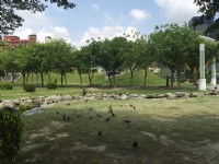 2016中央公園<br/> 攝影：旅遊王攝影組