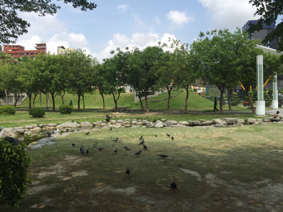 2016中央公園 攝影：旅遊王攝影組