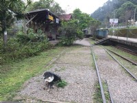 合興車站<br/> 攝影：Eva隨手拍