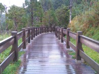 翠峰湖環山步道2<br/> 攝影：Lu