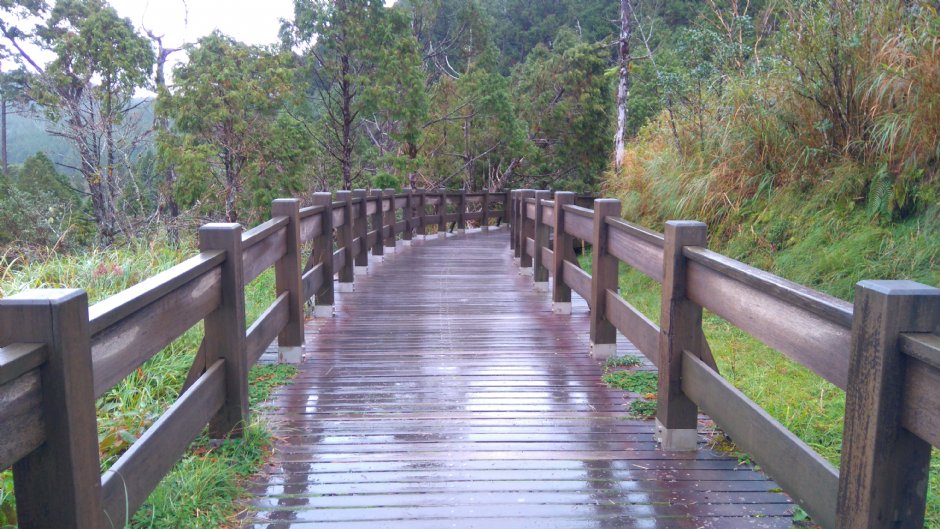 翠峰湖環山步道2 攝影：Lu