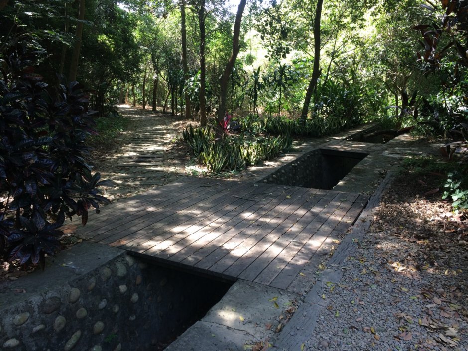 瑞井登山步道 攝影：Eva隨手拍