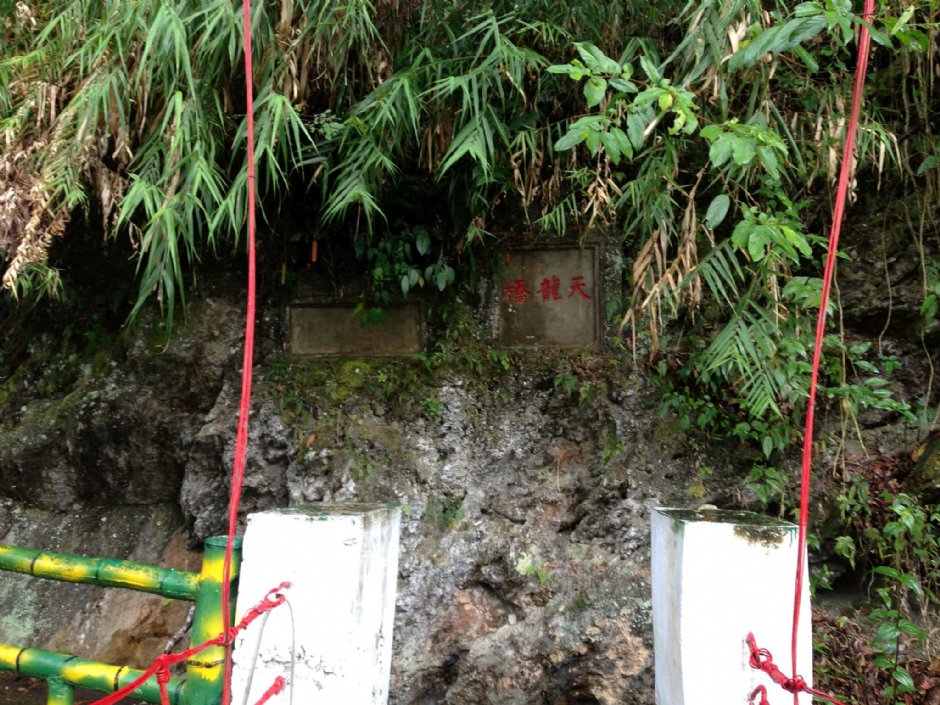 天龍吊橋 攝影：林錦萍