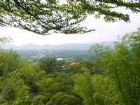 大津瀑布步道中段視野<br/> 攝影：旅遊王攝影組