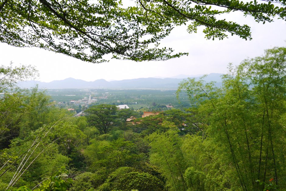 大津瀑布步道中段視野 攝影：旅遊王攝影組