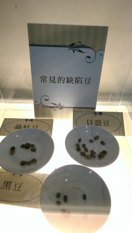 常見的缺陷豆 攝影：Bruce