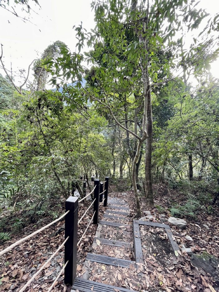 雪山坑环线步道 摄影：Eva隨手拍