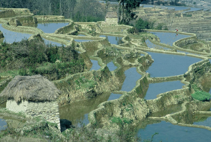 菁口03 攝影：金漢妮旅行社