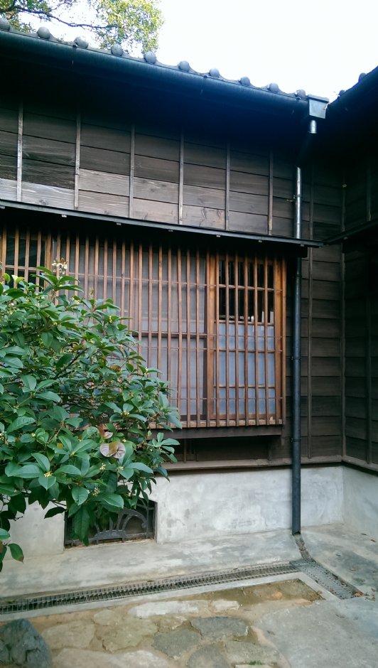 普济寺 摄影：Eva隨手拍