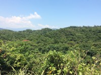 情人湖<br/> 攝影：Eva隨手拍