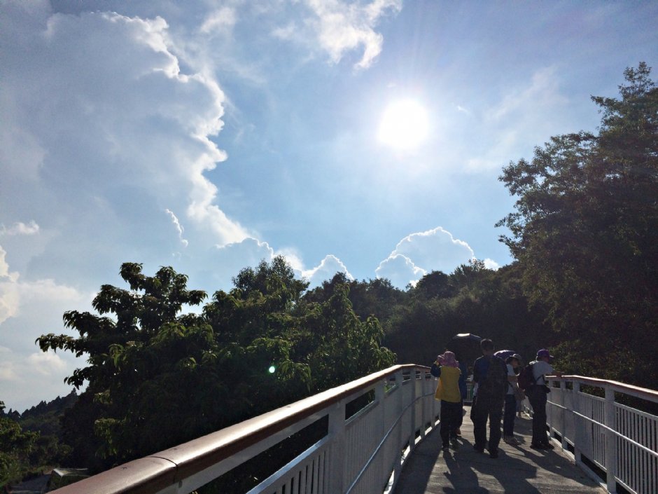 清境高空觀景步道 攝影：Eva隨手拍