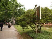 人民公園<br/> 攝影：簡時強