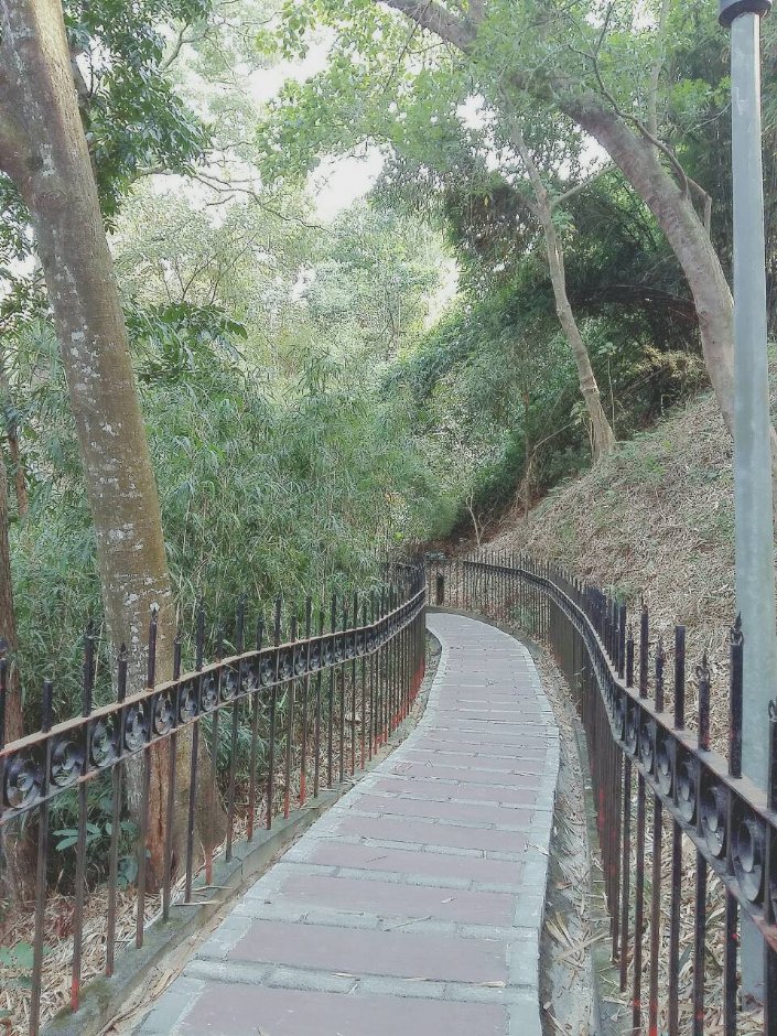 花仙子步道 攝影：Tz