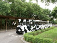 環場列車<br/> 攝影：Eva隨手拍