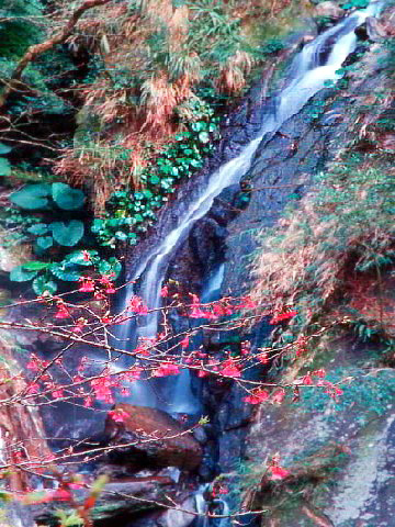 四陵溫泉探祕 攝影：小陳