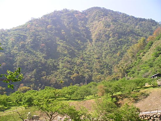 牛稠坑 攝影：老山羊
