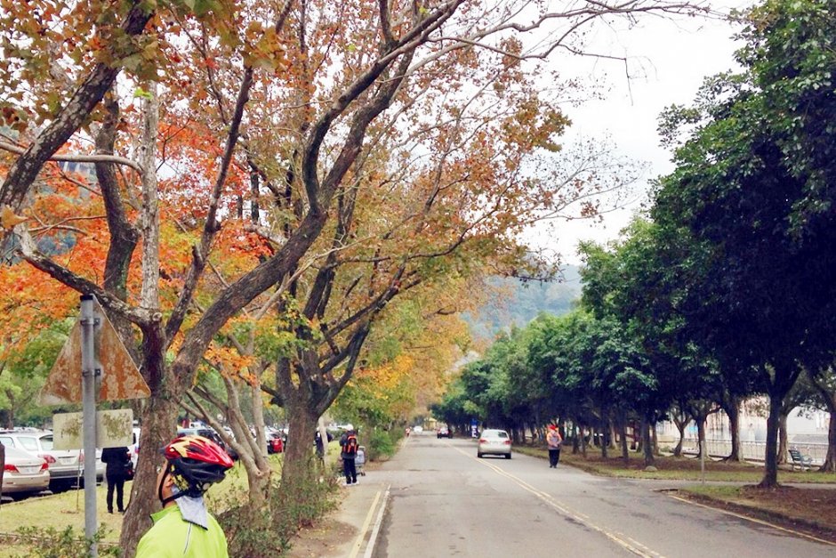 騎乘自行車在石門水庫的楓林步道可就近欣賞楓紅之美 / Leon
