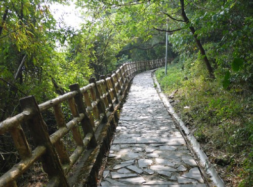 茂林國家風景區生態公園/Jacky