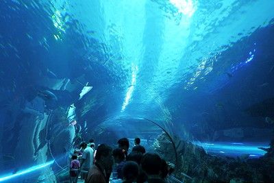 屏東車城國立海洋生物博物館 / Jacky