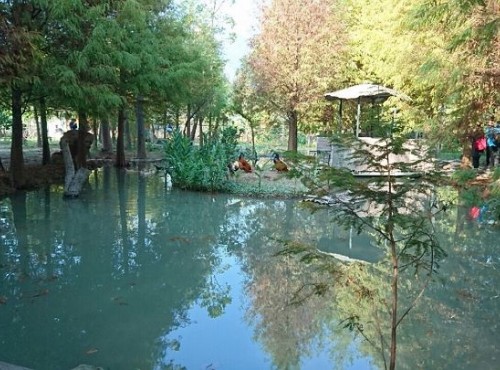 惠蓀林場 / 陳怡如