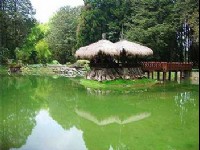 《這裡發現愛-景點系列報導五》阿里山