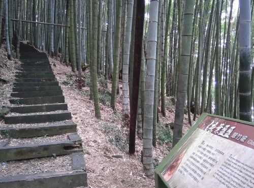 奮起湖木馬棧道/Lu