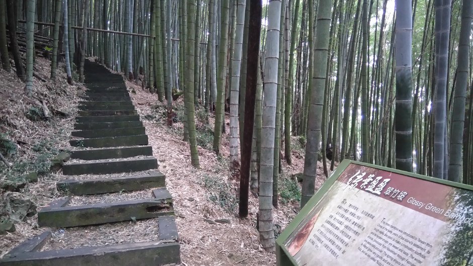 奮起湖木馬棧道/Lu