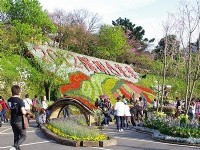 陽明山花季開鑼 走春賞花泡湯趣
