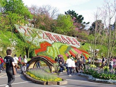 圖為2012陽明山花季 / Eva隨手拍 提供