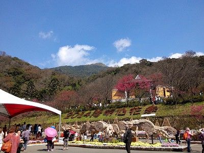 圖為2014陽明山花季 / Lu