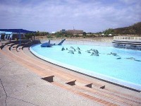 跟著《少年PI》去奇幻旅行:食人島、白沙灘 帶您一窺電影場景真面目