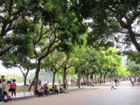 單車遊台中~綠園道文青小旅行