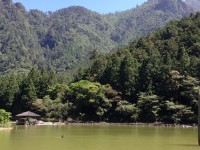 漫遊宜蘭:明池山莊森呼吸、輕鬆賞神木