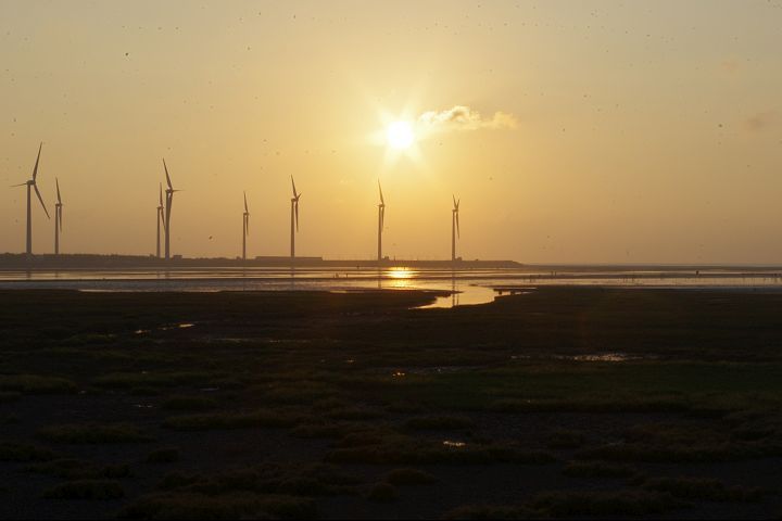 高美濕地最美夕陽絕景/Eva隨手拍