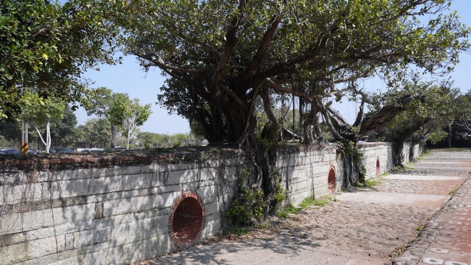 台江國家公園一景 / 旅遊王攝影組