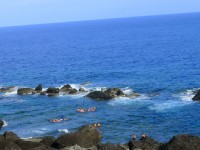 海島旅遊誰說一定要出國!蘭嶼綠島小琉球…台灣離島海上陸地都好玩